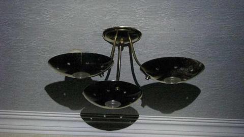 Gone to the Birds - O6-4-A.K.A.-Flown-The-Coop11.jpg