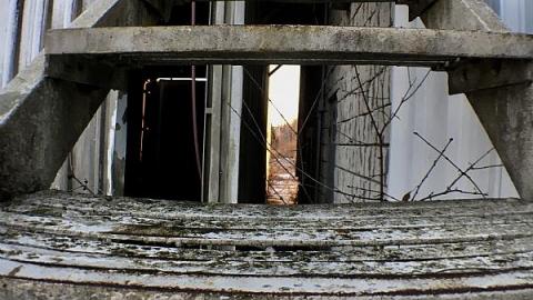 Photo from Left Behind and Forgotten