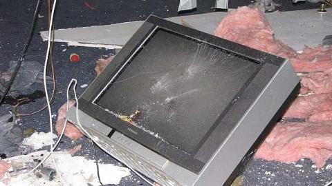 O6 #5 A.K.A. Kids & Trees photo 2