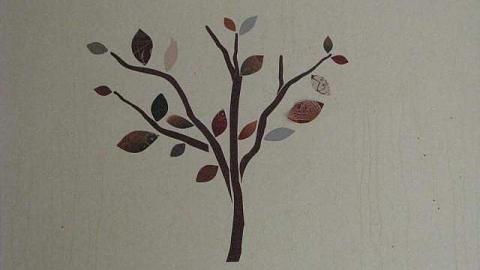 O6 #5 A.K.A. Kids & Trees photo 4