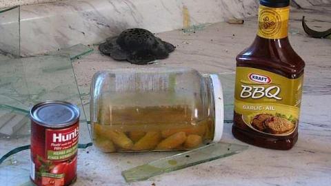 O6 #5 A.K.A. Kids & Trees - Oshawa, Ontario