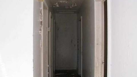 O6 #5 A.K.A. Kids & Trees photo 5