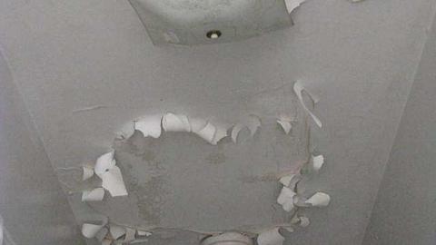 O6 #5 A.K.A. Kids & Trees photo 3