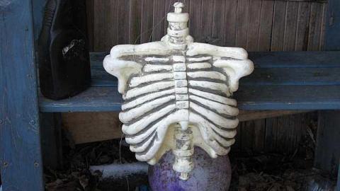 O6 #6 A.K.A. Skeletal Sports photo 5