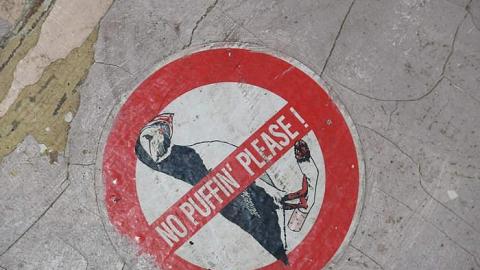 October 2017 - House-off-4014.jpg