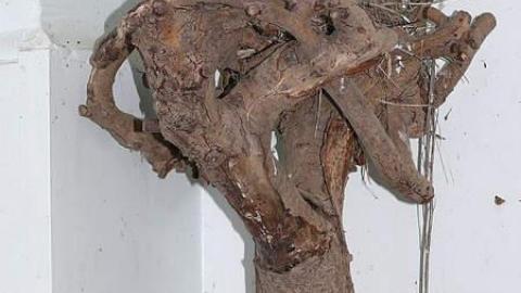 October 2017 - House-off-4015.jpg