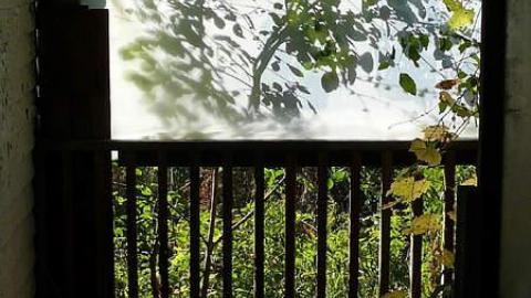 October 2017 - House-off-40187.jpg