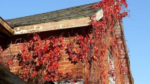 October 2017 - House-off-40191.jpg