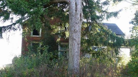 October 2017 - House-off-40114.jpg