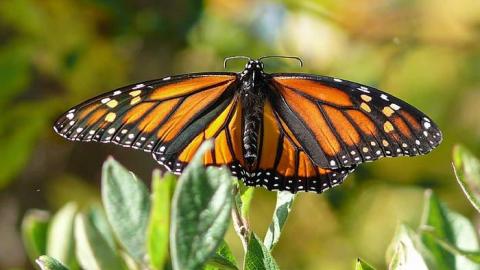 October 2017 - House-off-40192.jpg