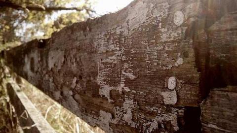 Camp 30 - Camp-30-Bowmanville1550.jpg