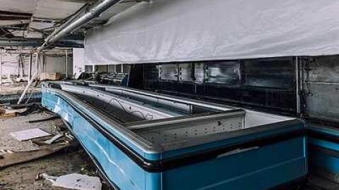 Photo from Fresh Fish?