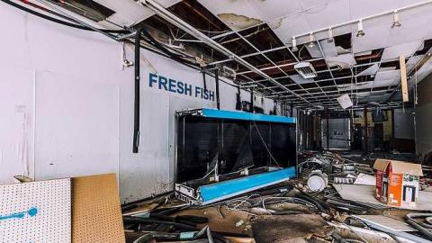 Photo from Fresh Fish?