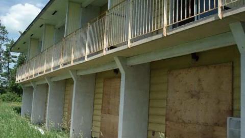 Photo from Gallery 4