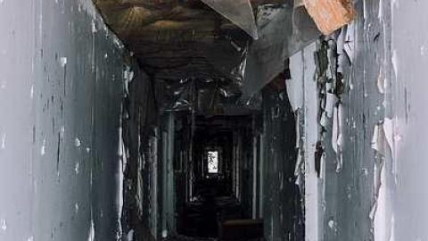 Longbranch 2017 - Motel-Longbranch5.jpg