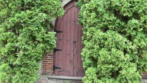 Gallery - The-Scotch-Settlement-181911.jpg