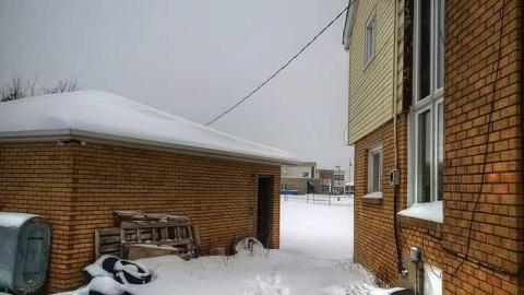 Surprise, Surprise - 1e.jpg