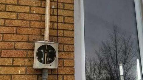 Surprise, Surprise - 2.jpg