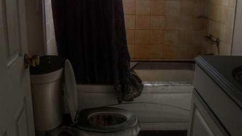 Photo from Surprise, Surprise