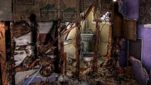 Surprise, Surprise - 5.jpg