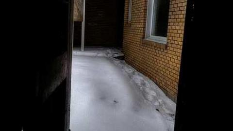 Surprise, Surprise - 8a.jpg