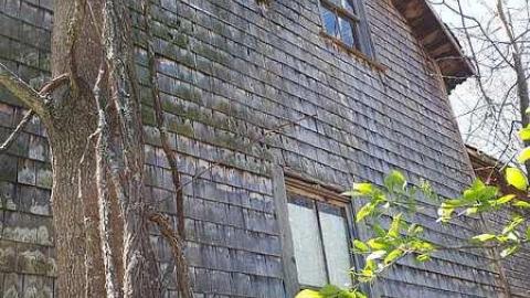 Idle on the Island - Idle-on-the-Island2.jpg