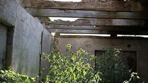 Maybe a Garden photo 3