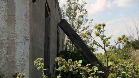 Maybe a Garden photo 4