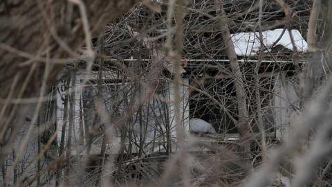 Gone Now - Optical-house16.jpg