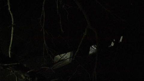 Midnight Visit - Yesterdays-Farm5.jpg