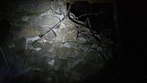 Midnight Visit - Yesterdays-Farm2.jpg