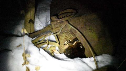 Midnight Visit - Yesterdays-Farm6.jpg