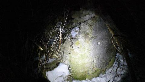 Midnight Visit - Yesterdays-Farm7.jpg