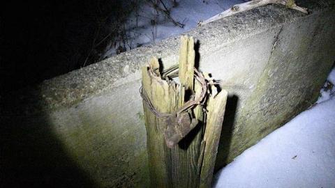 Midnight Visit - Yesterdays-Farm4.jpg