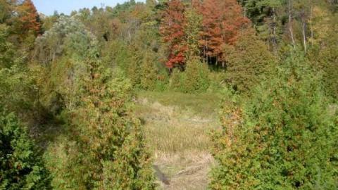 Chingachgook Ganatsekiagon - Last-of-the-Mohicans-Series2.jpg