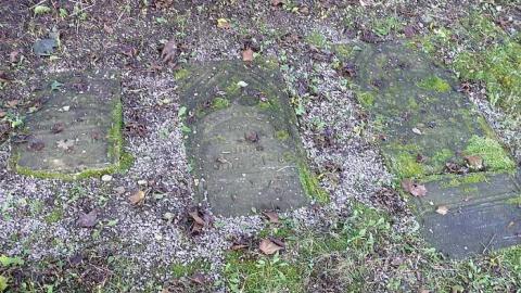 Shiloh - Shiloh-Church-Starkville15.jpg