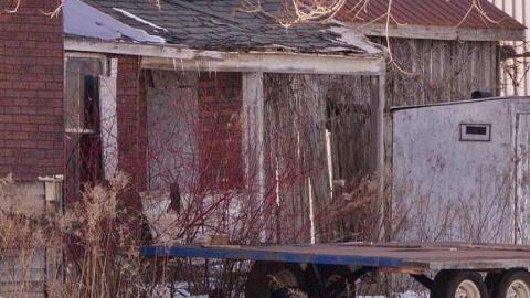 Roadkill - e-DT3.jpg