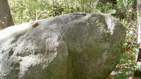 Chingachgook Ganatsekiagon - Last-of-the-Mohicans-Series5.jpg