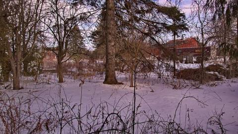 Peter Cottontail - You-Were-But-A-Ghost-In-My-Arms51.jpg