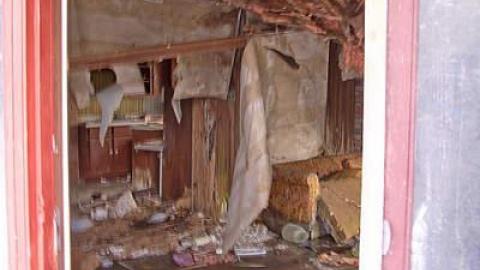 Peter Cottontail - You-Were-But-A-Ghost-In-My-Arms49.jpg