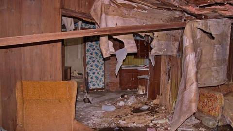 Peter Cottontail - You-Were-But-A-Ghost-In-My-Arms52.jpg