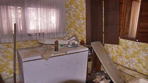 Peter Cottontail - You-Were-But-A-Ghost-In-My-Arms4.jpg