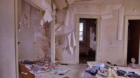 Peter Cottontail - You-Were-But-A-Ghost-In-My-Arms14.jpg