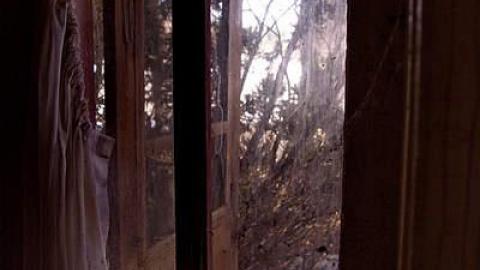 Peter Cottontail - You-Were-But-A-Ghost-In-My-Arms25.jpg