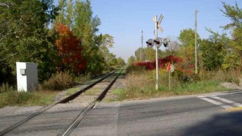 Locust Plague - Locust-Hill-Assorted6.jpg