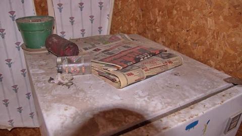 Peter Cottontail - You-Were-But-A-Ghost-In-My-Arms59.jpg