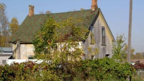 Locust Hill Assorted photo 3