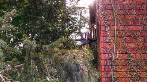 Peter Cottontail - You-Were-But-A-Ghost-In-My-Arms34.jpg