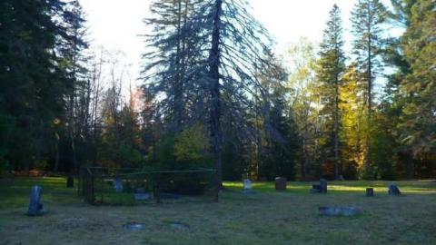 Spruced Up - Sprucedale-Pioneer-Cemetery3.jpg