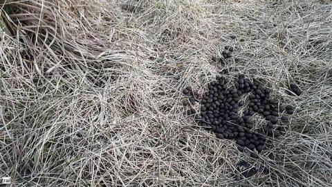 FEB 2018 - 20180222_181407.jpg